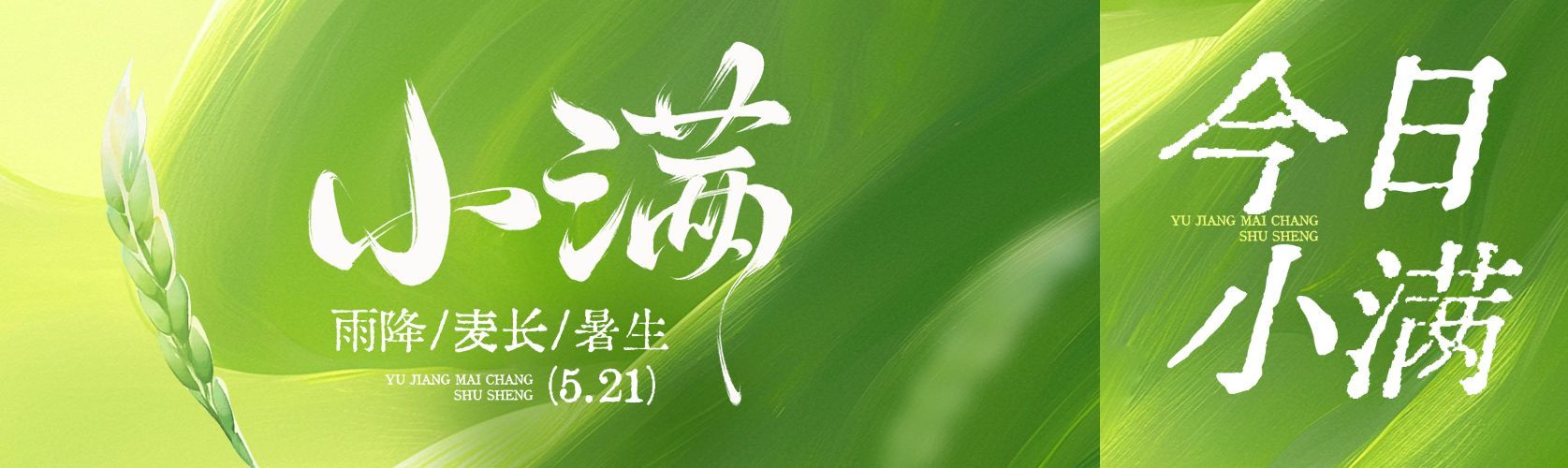小满节气祝福通用清新感公众号首次图预览效果