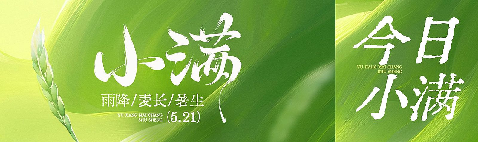 小满节气祝福通用清新感公众号首次图