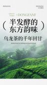 模板缩略图