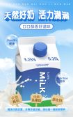 模板缩略图