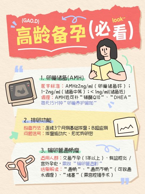 母婴亲子孕产高龄产妇备孕攻略科普分享拙气感插画小红书配图预览效果