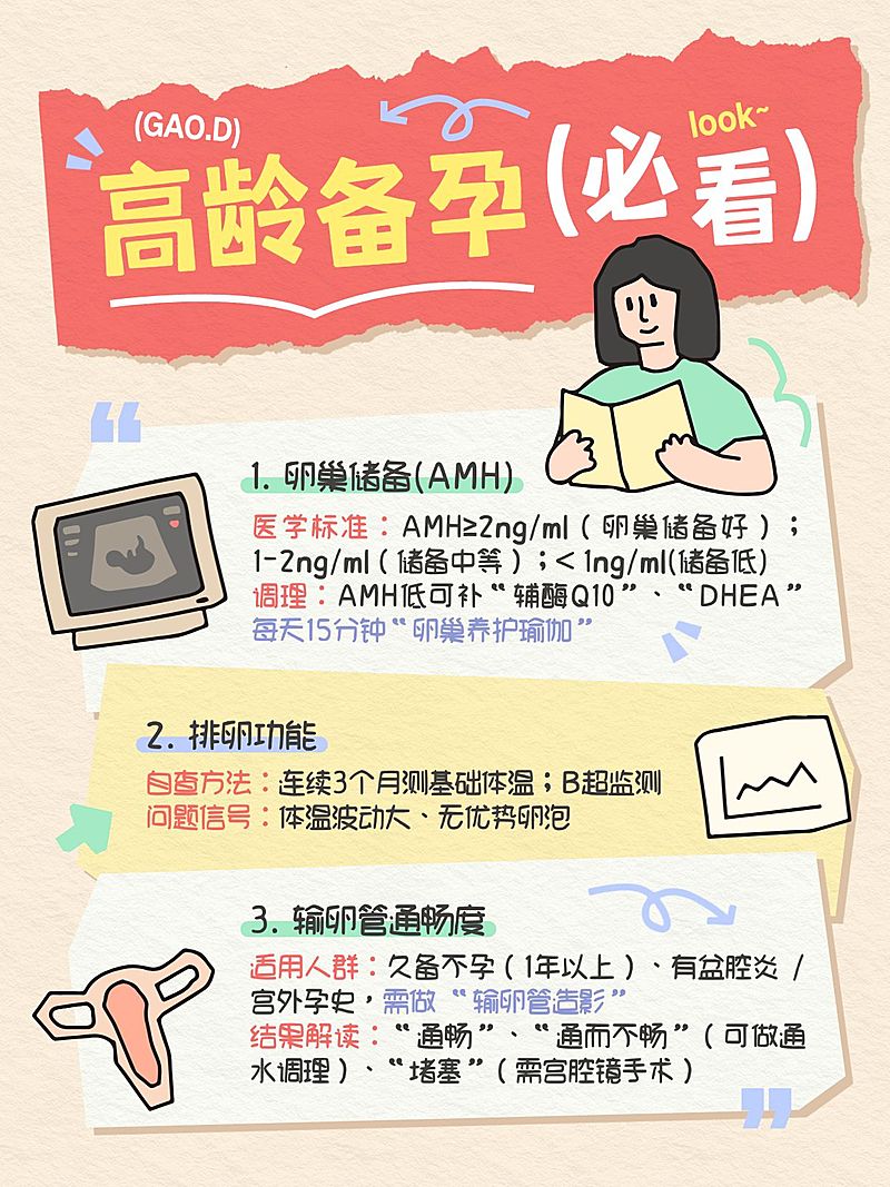 母婴亲子孕产高龄产妇备孕攻略科普分享拙气感插画小红书配图