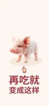 手机屏保壁纸