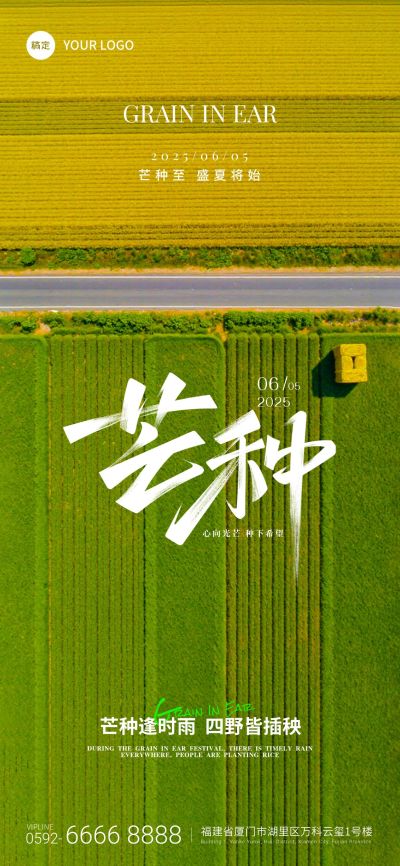 芒种清新感麦田纹路节气祝福海报AIGC