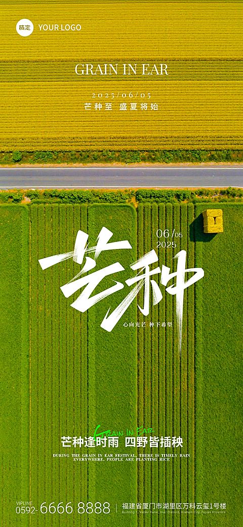 芒种清新感麦田纹路节气祝福海报AIGC