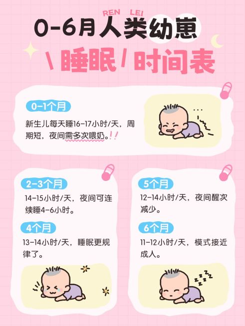 新生儿睡眠时间表卡通可爱小红书配图预览效果