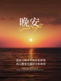 模板缩略图