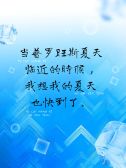 模板缩略图