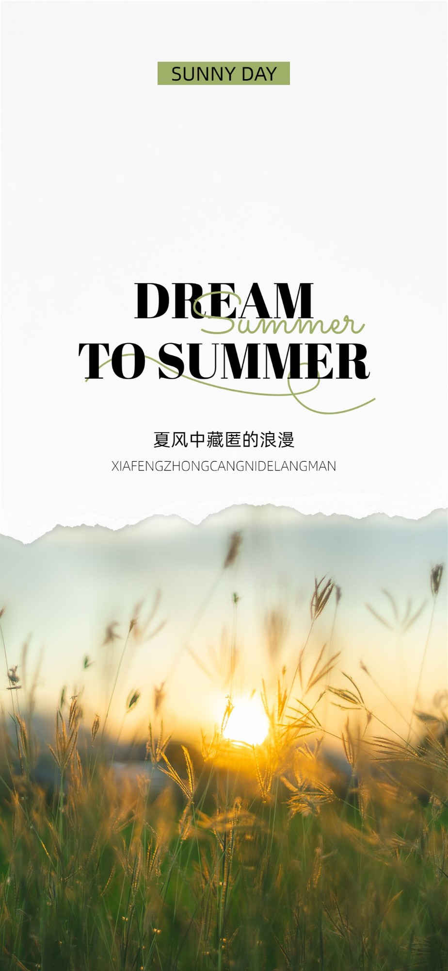 实景撕纸拼贴风手机壁纸