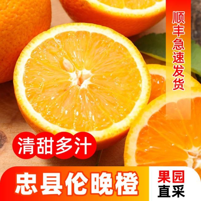 橙子水果橘子拼多多1688商品主图预览效果