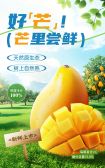 模板缩略图