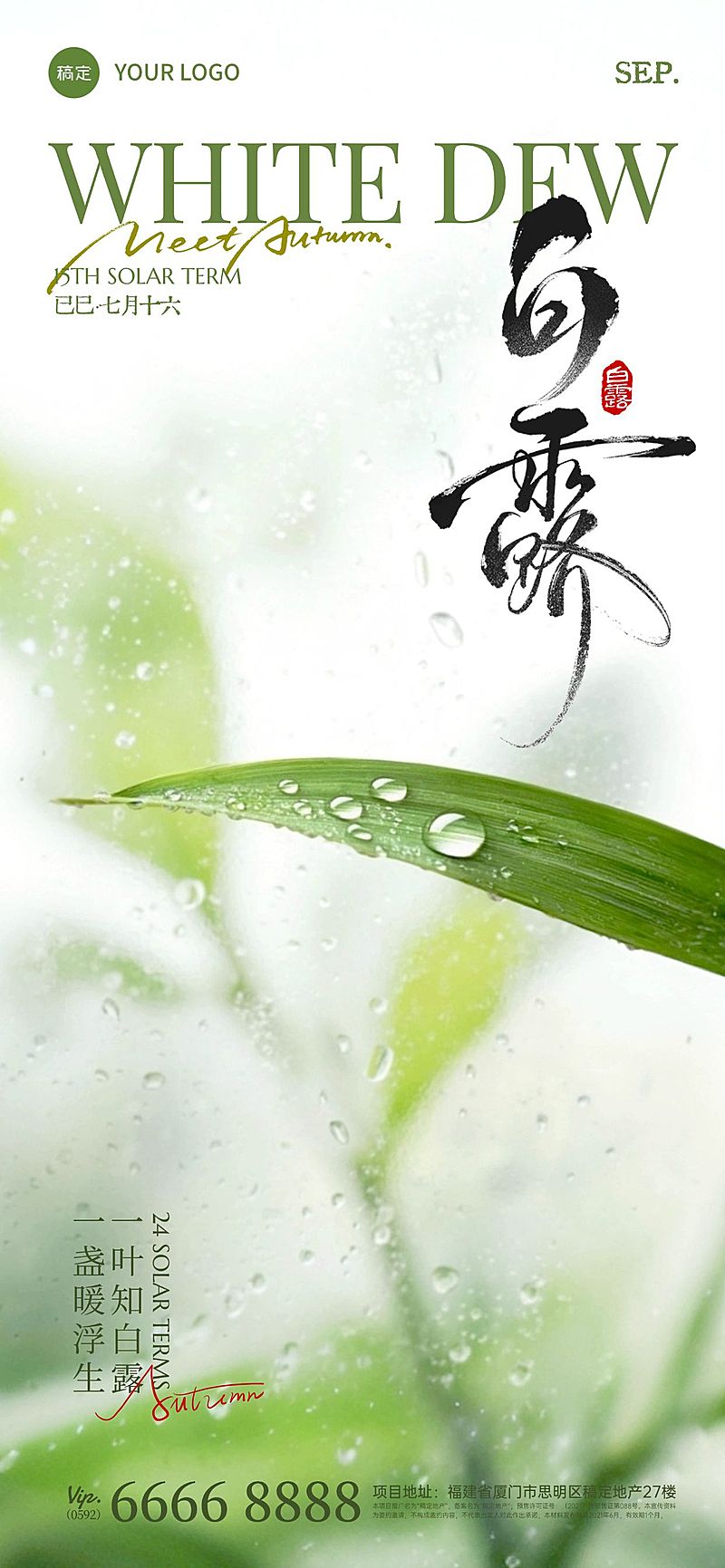 白露节气祝福实景感全屏竖版海报AIGC