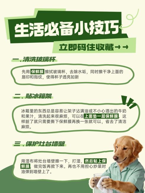 生活必备小技巧分享知识科普小红书配图预览效果