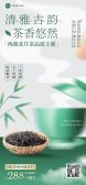 模板缩略图