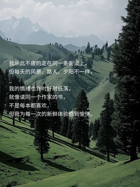 情感文案语录分享小红书封面aigc预览效果