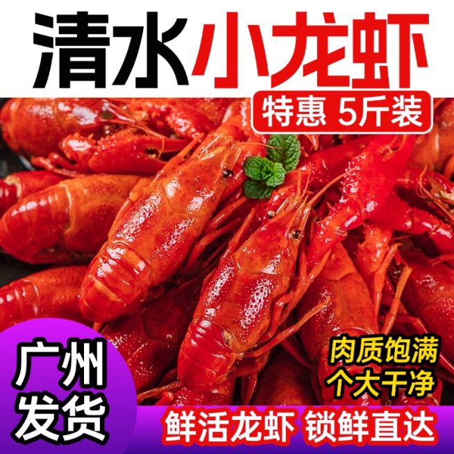 餐饮速食生鲜夏季小龙虾商品主图预览效果