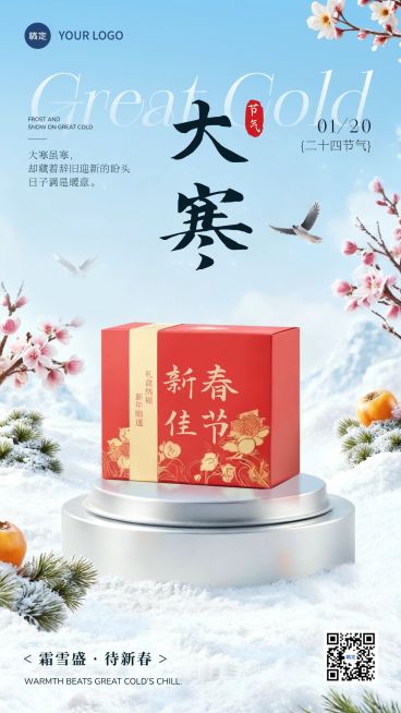 大寒节气祝福实景感雪景产品展台竖版海报预览效果