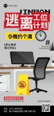 模板缩略图