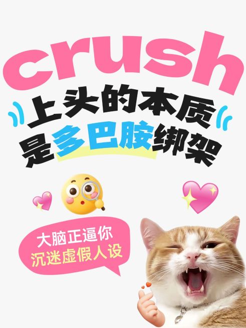 情感领域知识付费话题讨论可爱meme梗图爆款大字小红书封面预览效果