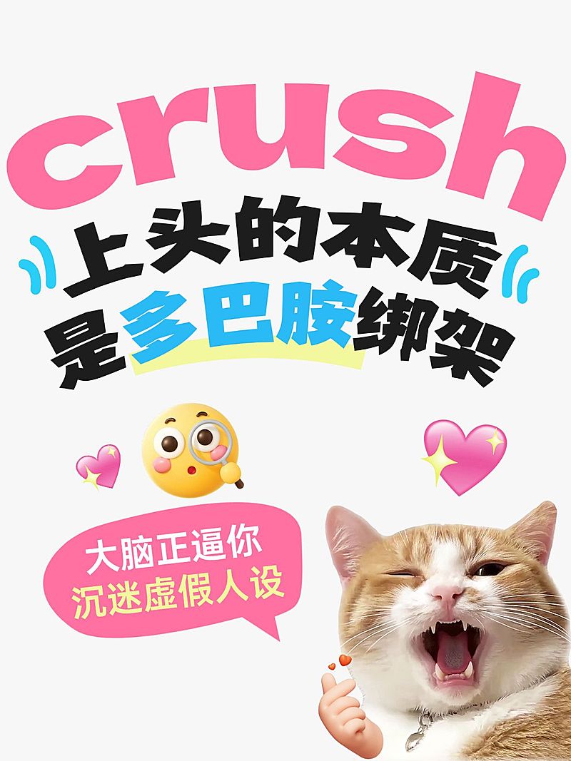 情感领域知识付费话题讨论可爱meme梗图爆款大字小红书封面