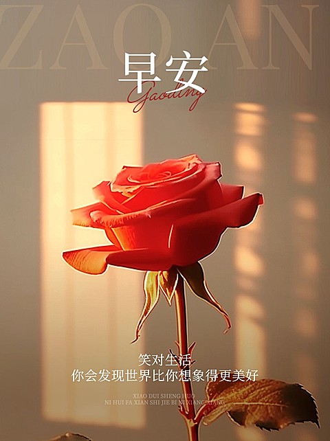早安情感文案日签小红书封面AIGC