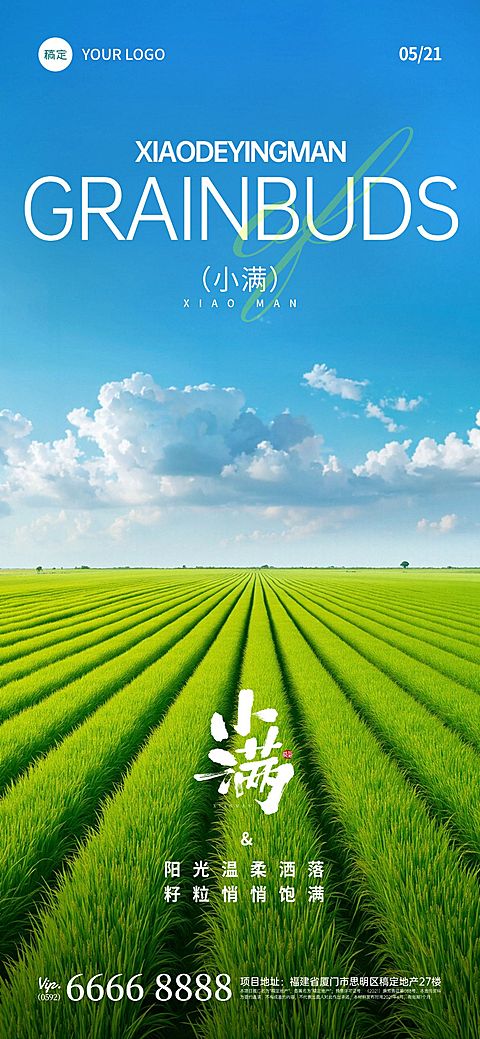 小满节气实景光感麦田海报