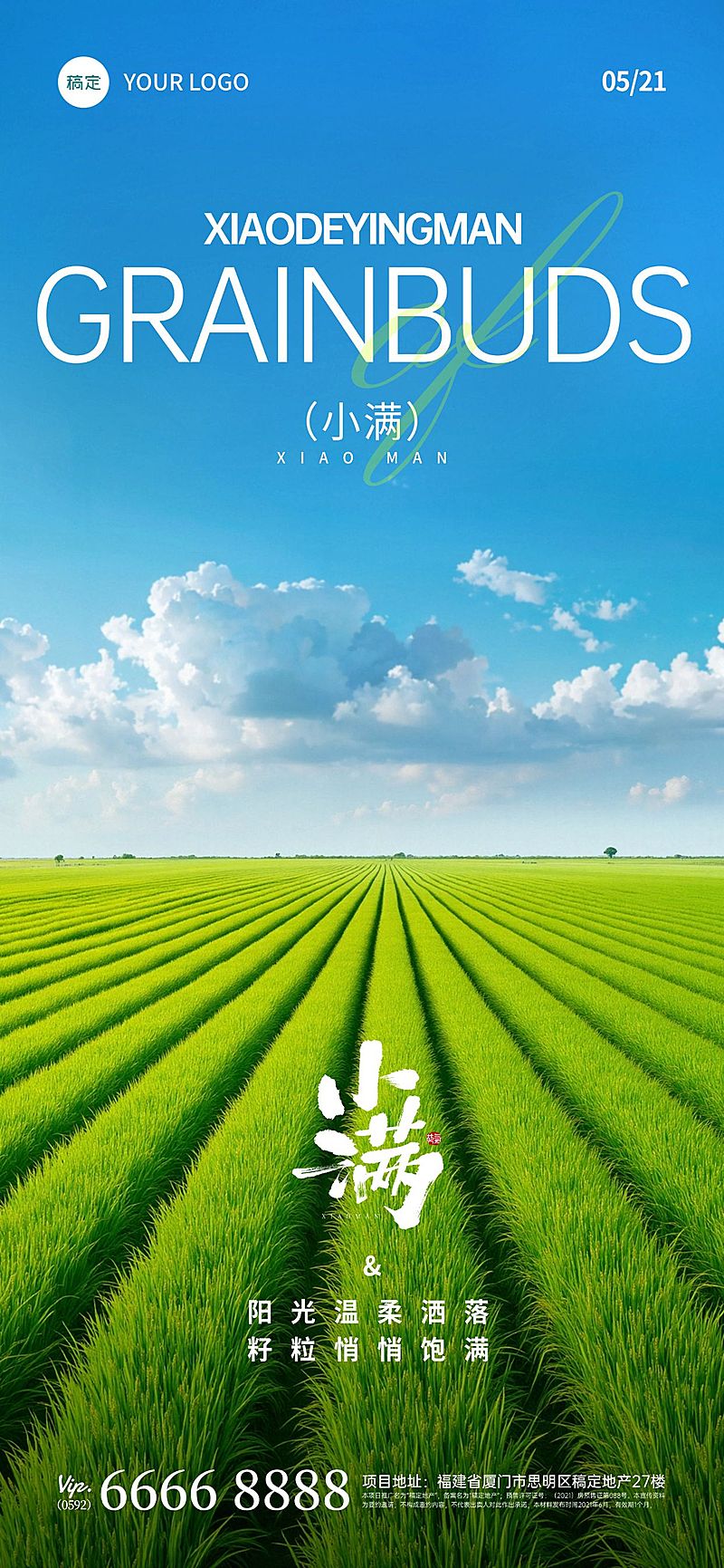 小满节气实景光感麦田海报