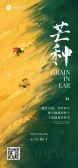 模板缩略图