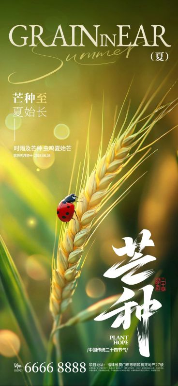 芒种弥散渐变小麦近景氛围祝福海报AIGC预览效果