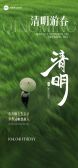 模板缩略图