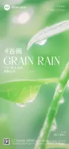 绿色海报雨水
