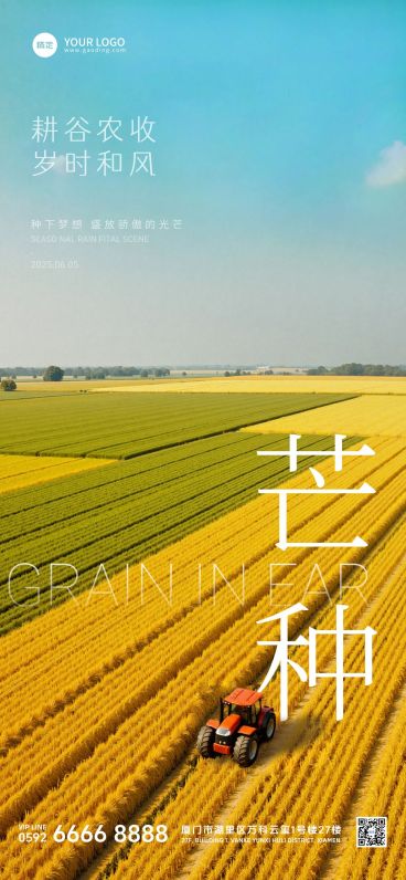芒种实景感麦田祝福海报AIGC预览效果