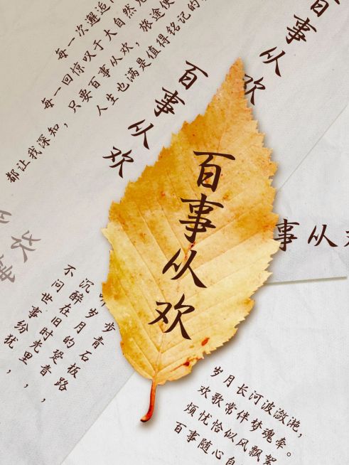 情感语录文案小红书封面预览效果