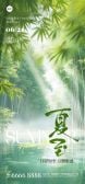 模板缩略图