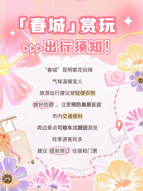 春夏旅游科普攻略手绘插画花朵小红书配图预览效果