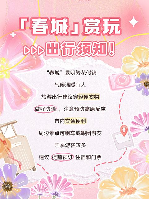 春夏旅游科普攻略手绘插画花朵小红书配图