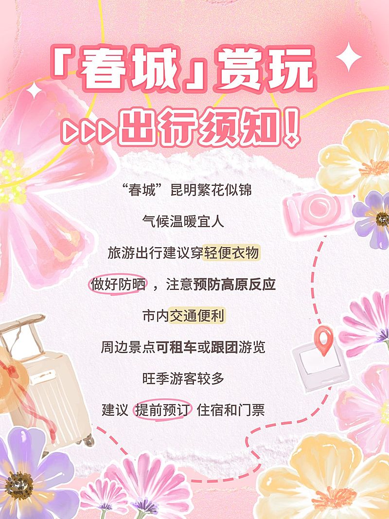 春夏旅游科普攻略手绘插画花朵小红书配图