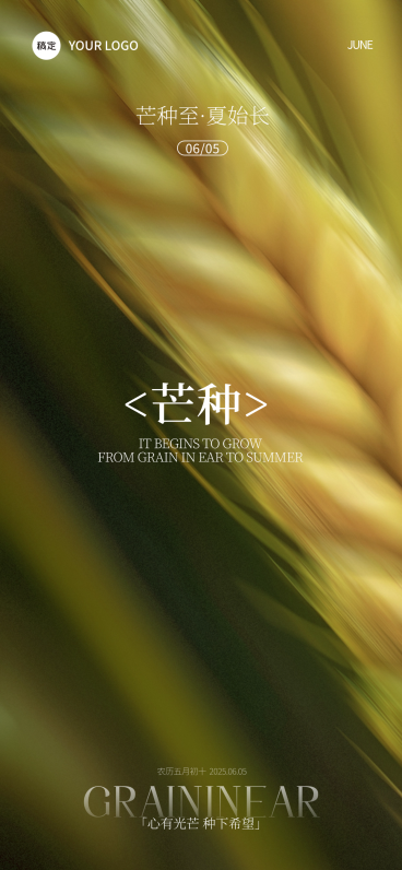 芒种肌理感小麦近景光影祝福海报AIGC预览效果
