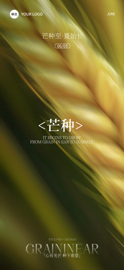 芒种肌理感小麦近景光影祝福海报AIGC