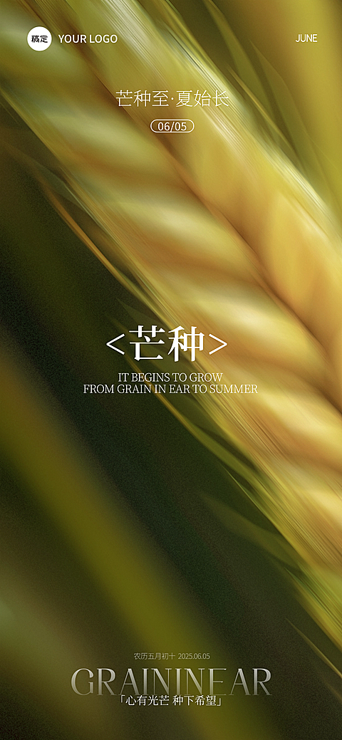 芒种肌理感小麦近景光影祝福海报AIGC