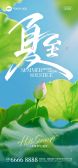 模板缩略图