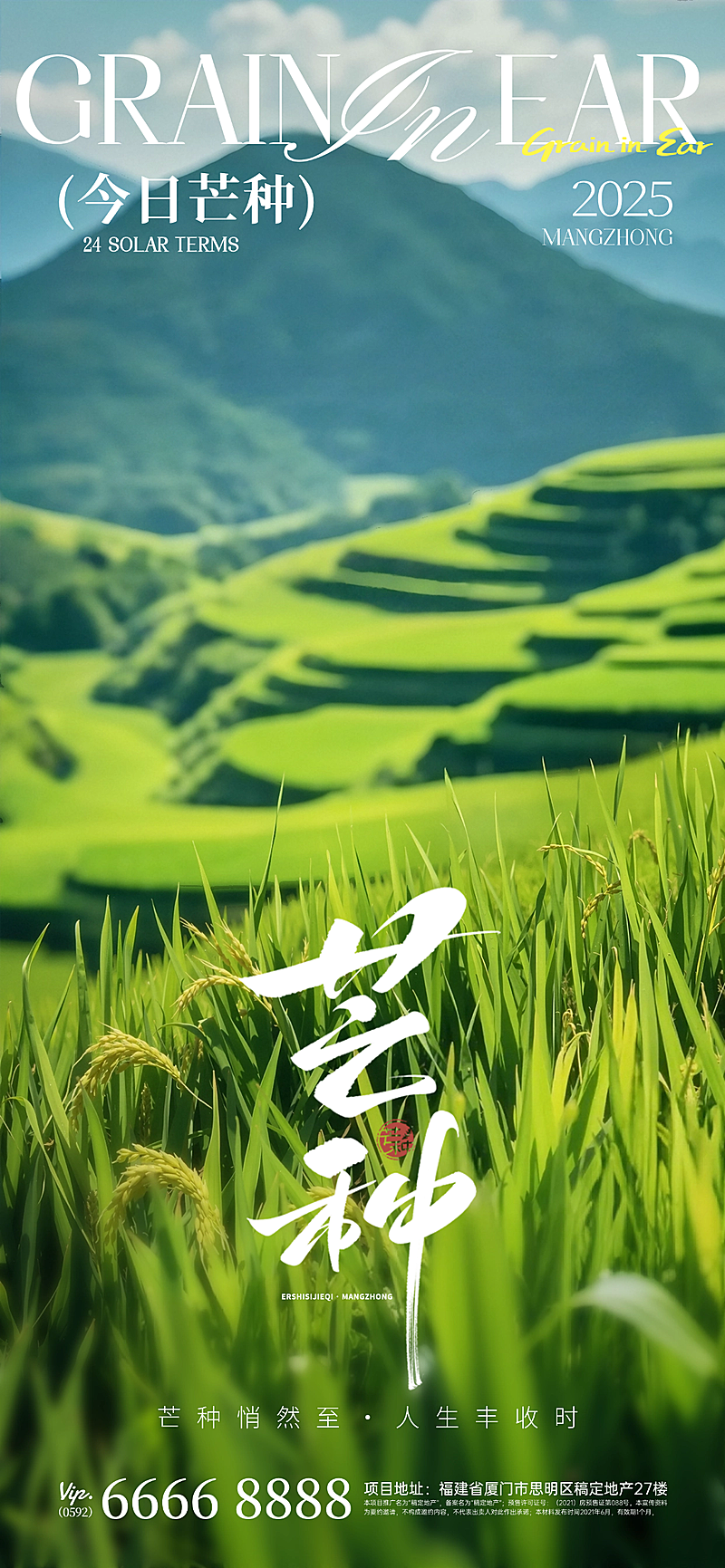 芒种清新感水稻实景祝福海报AIGC