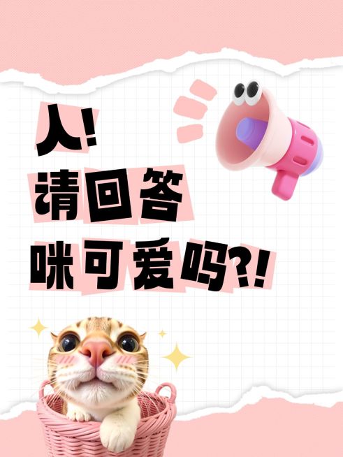 爆款吸睛大字猫咪可爱表情包小红书封面aigc预览效果