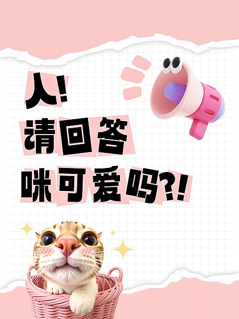 爆款吸睛大字猫咪可爱表情包小红书封面aigc