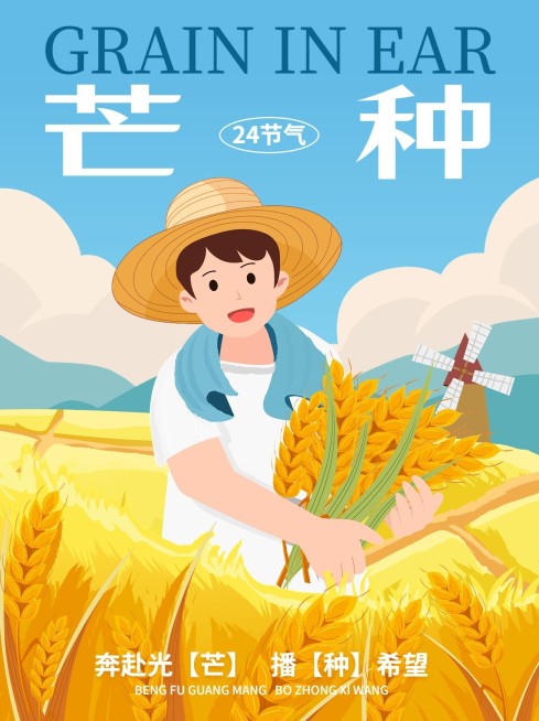 芒种节气祝福小红书配图预览效果