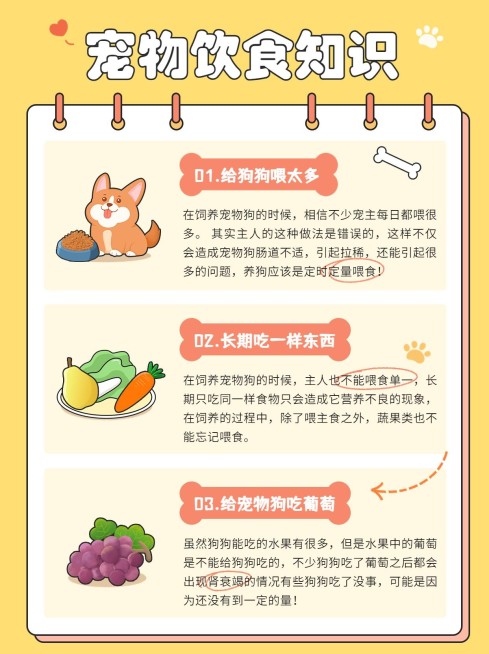 宠物知识科普手帐风小红书配图预览效果