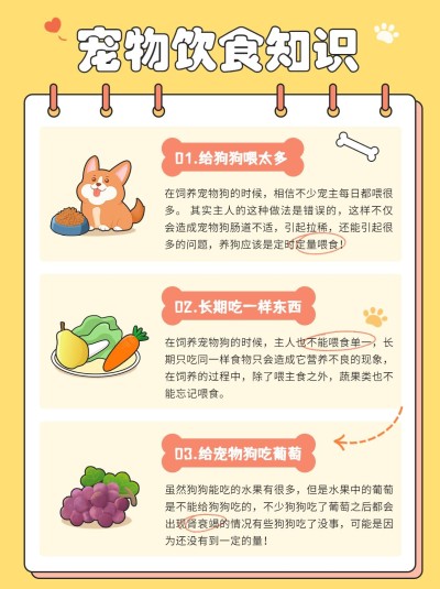 宠物知识科普手帐风小红书配图