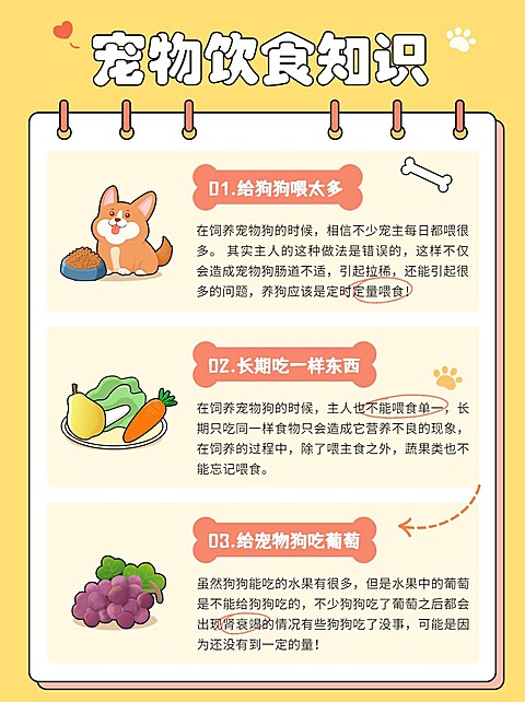 宠物知识科普手帐风小红书配图