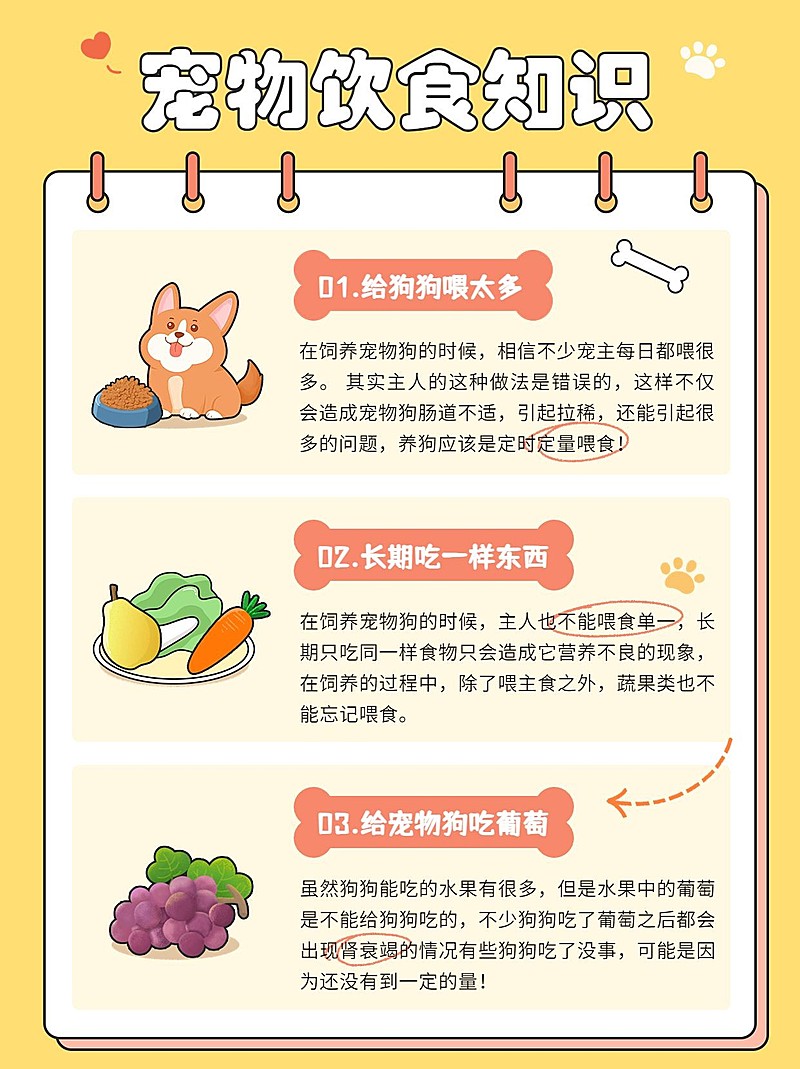 宠物知识科普手帐风小红书配图