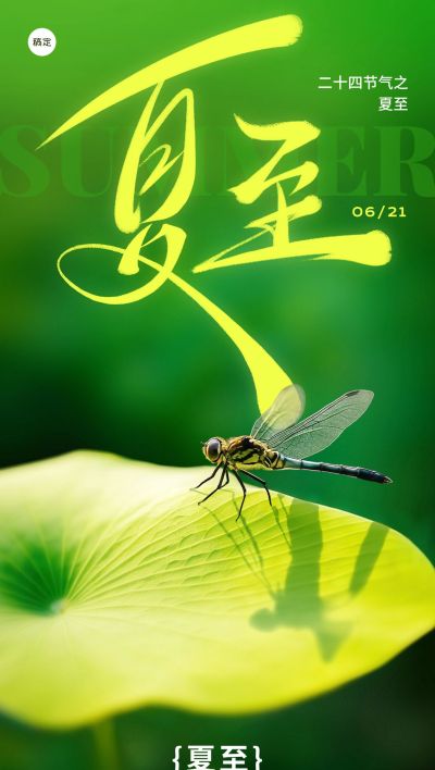 夏至实景感荷叶蜻蜓祝福海报AIGC
